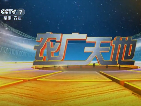 《农广天地》坚韧不屈的豆芽