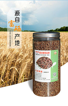酵素富硒黑麦