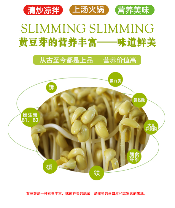 豆芽的营养